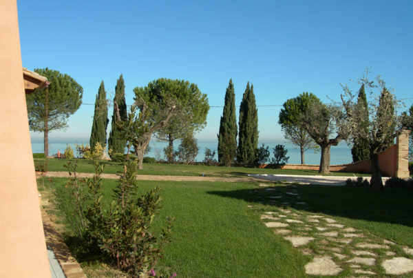 Il giardino